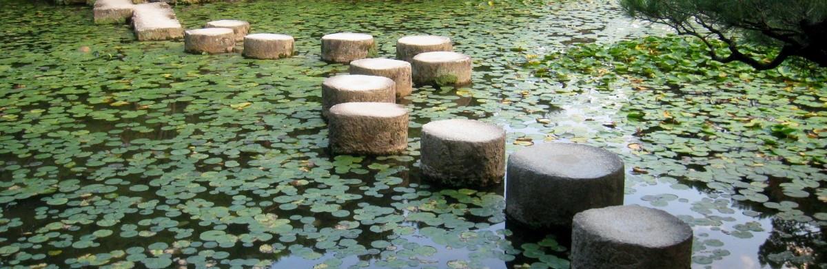 Stepping stones in a river